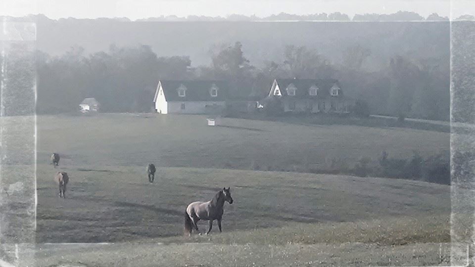 house and pastures in the autumn morning mist