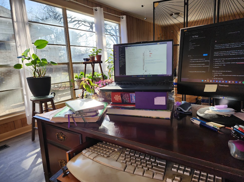View from Kathryn's Desk, enjoying the sun and plants in her new study.